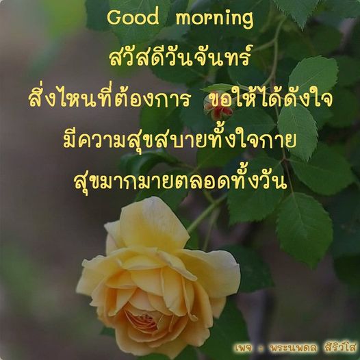 สวัสดีวันจันทร์! มาร่วมเริ่มต้นสัปดาห์ใหม่ด้วยความสุขและความสบายทั้งใจและกาย พร้อมข้อคิดดีๆ จากพระนพดล สิริวโส ที่จะทำให้คุณมีสุขมากมายตลอดทั้งวัน