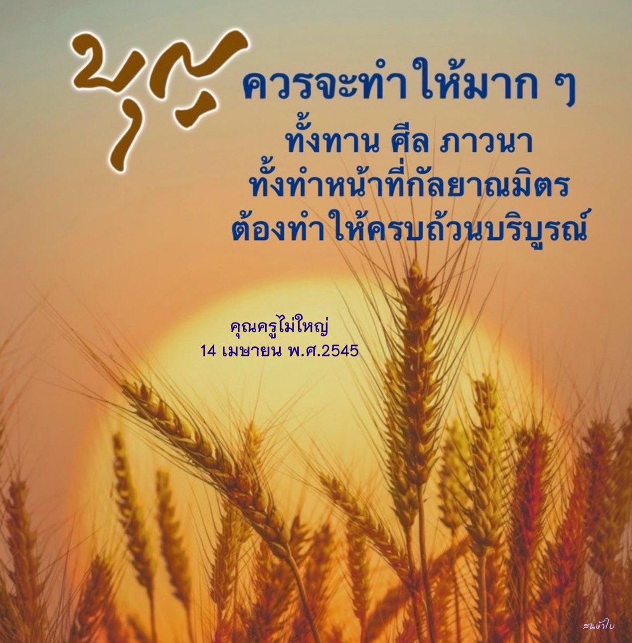 ค้นพบวิธีการทำให้ชีวิตของคุณมีความสมบูรณ์แบบด้วยการปฏิบัติทาน ศีล ภาวนา และการทำหน้าที่กัลยาณมิตรอย่างครบถ้วน พร้อมเรียนรู้จากคุณครูไม่ใหญ่เพื่อพัฒนาตนเองในทุกด้าน