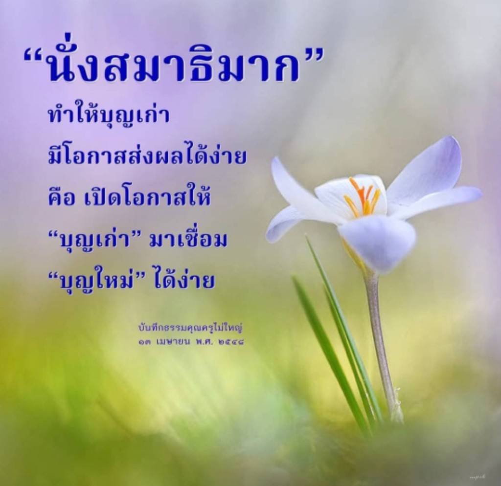 เรียนรู้เกี่ยวกับการนั่งสมาธิมากที่ช่วยเปิดโอกาสให้บุญเก่าเชื่อมโยงกับบุญใหม่ได้ง่ายขึ้น พร้อมข้อคิดจากบันทึกธรรมคุณครูไม่ใหญ่ เมื่อวันที่ 13 เมษายน พ.ศ. 2558