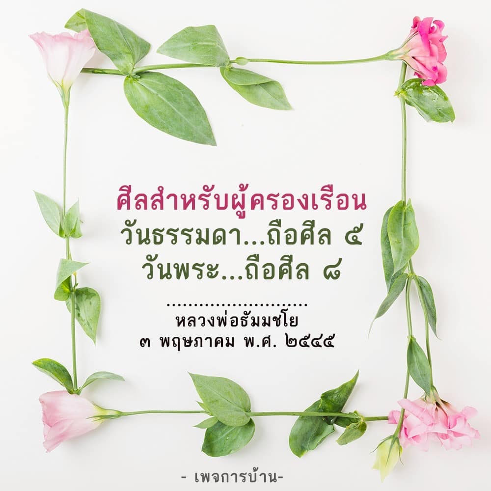 ภาพ No.16502:ทั่วไป