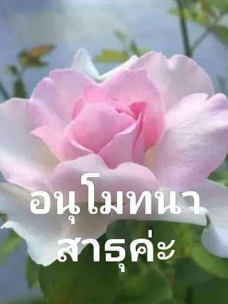 การ์ดคำสอนในพระพุทธศาสนา ทั่วไป