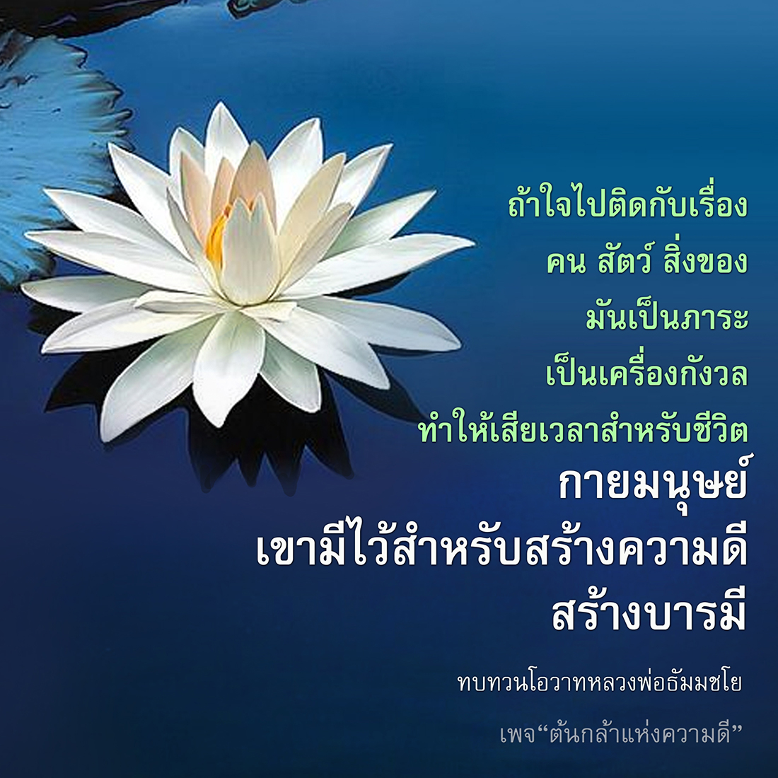 ทบทวนโอวาทหลวงพ่อธัมมชโยในเพจ 'ต้นกล้าแห่งความดี' เพื่อเรียนรู้การสร้างความดีและบารมี ที่ช่วยให้เราเป็นมนุษย์ที่ดี ลดภาระและเครื่องกังวลในชีวิต