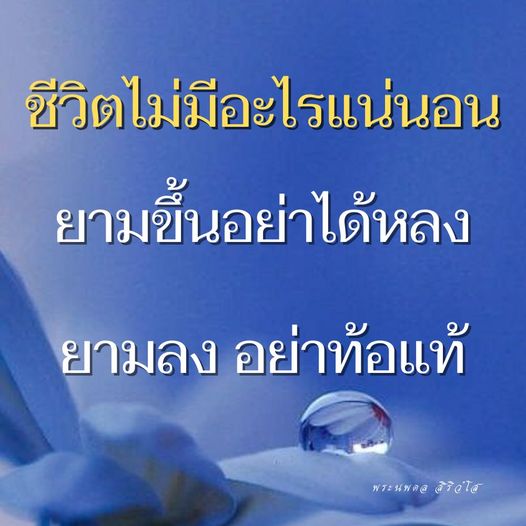 การ์ด No.11451:พระนพดล สิริวํโส