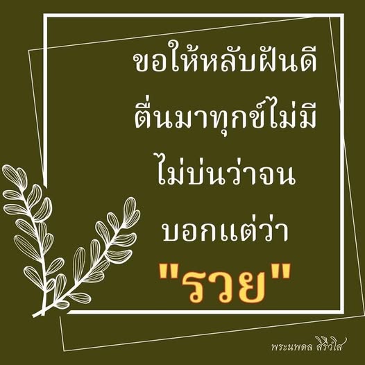 การ์ด No.13589:ราตรีสวัสดิ์