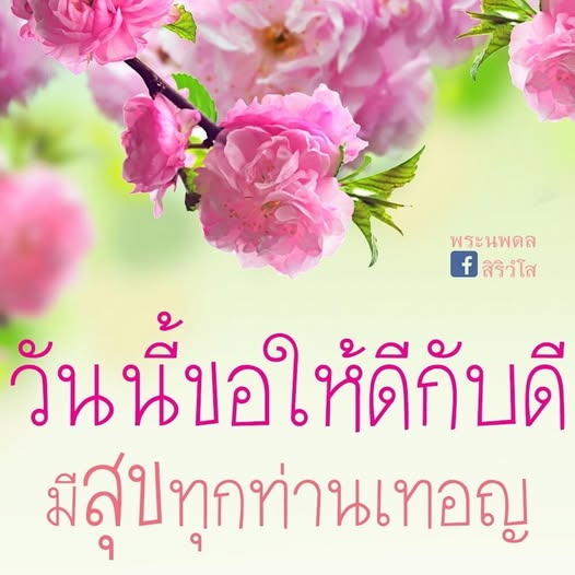 การ์ด No.14575:พระนพดล สิริวํโส