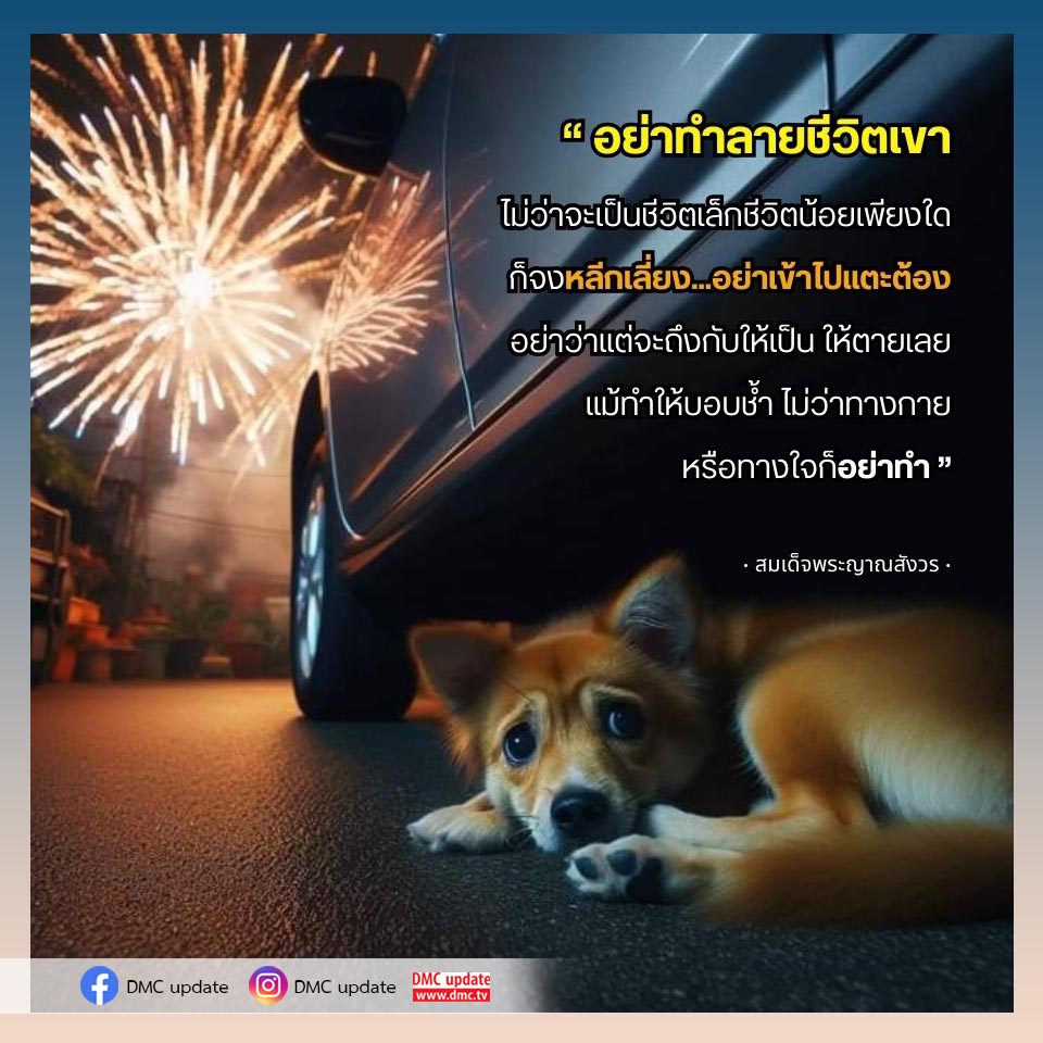 ติดตามอัปเดตล่าสุดจาก DMC ที่นี่ เรามีข่าวสารและข้อมูลที่สำคัญเกี่ยวกับ DMC รวมถึงบทความและเนื้อหาที่จะช่วยให้คุณเข้าใจชีวิตและจิตวิญญาณได้ดียิ่งขึ้น