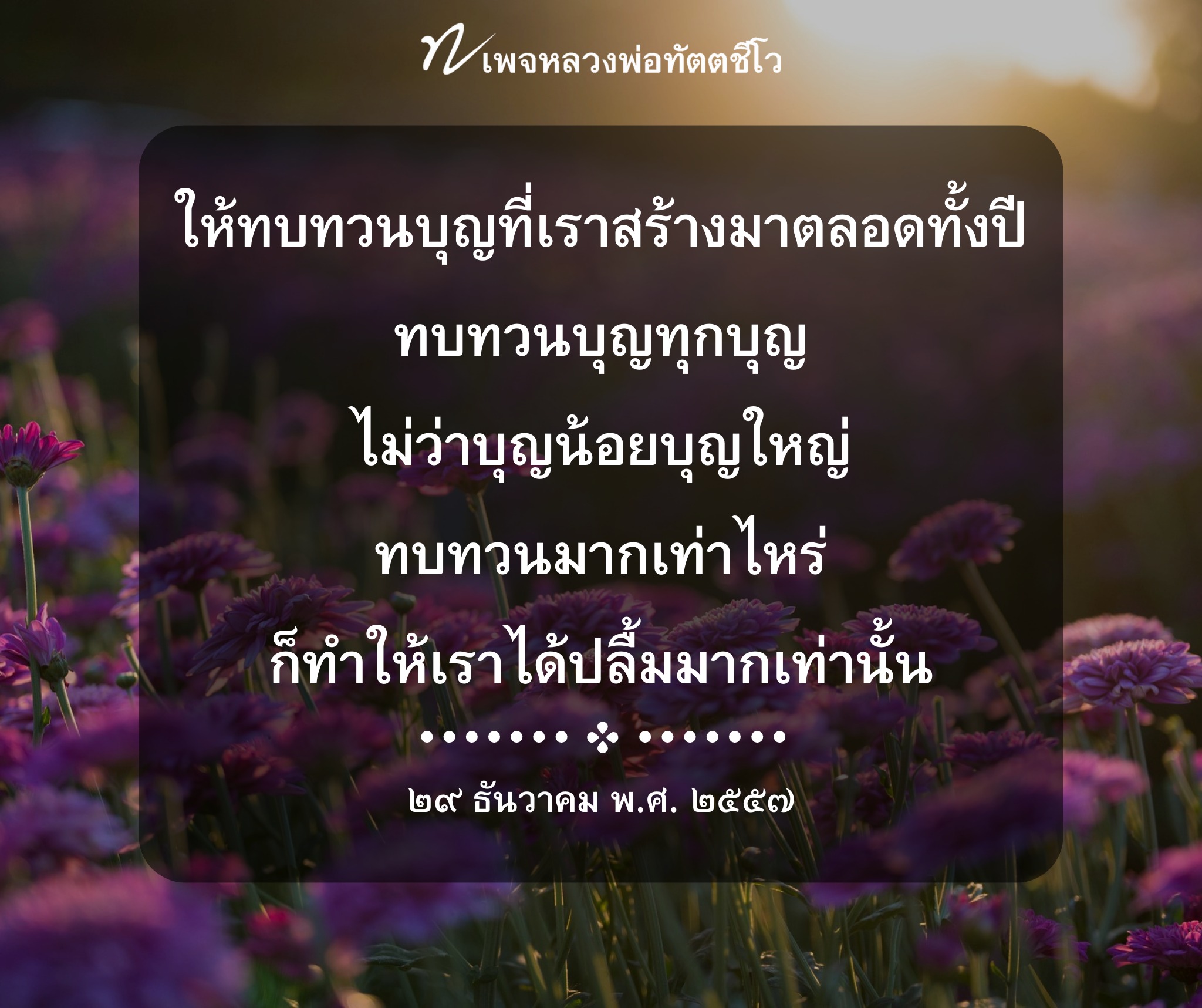 ภาพ No.16521:ทั่วไป