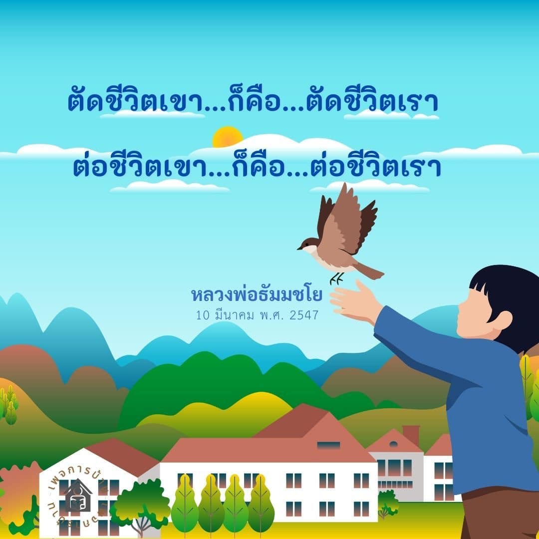 ภาพ No.16857:ทั่วไป