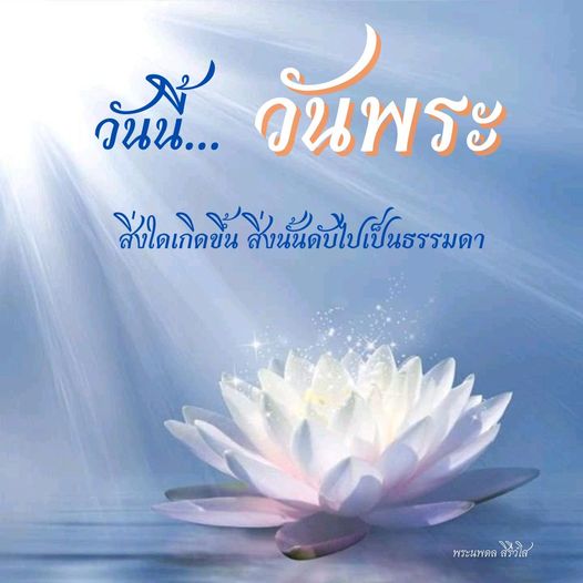 การ์ด No.10786:วันพระ