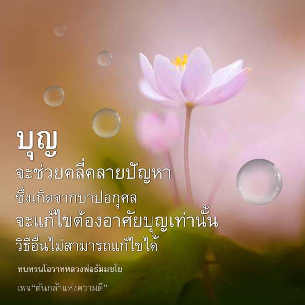 บุญ จะช่วยคลี่คลายปัญหา