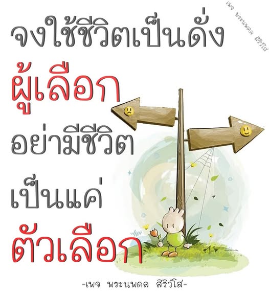 การ์ด No.11942:พระนพดล สิริวํโส