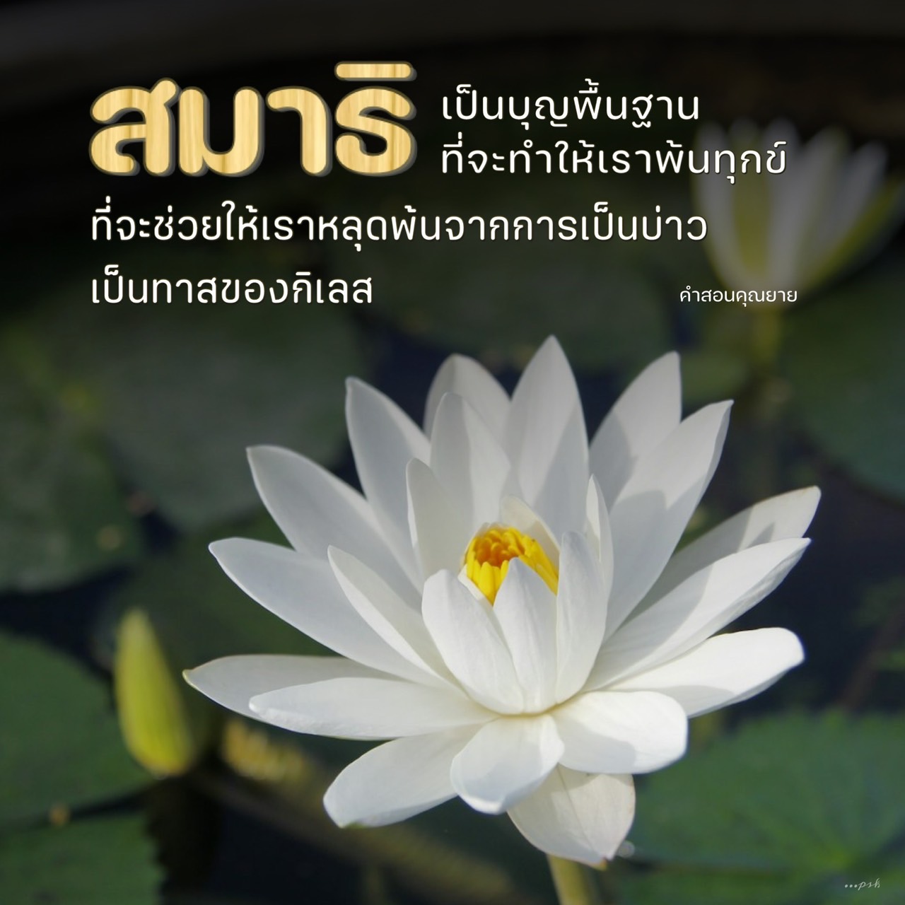 ภาพ No.16199:คำสอนคุณยาย