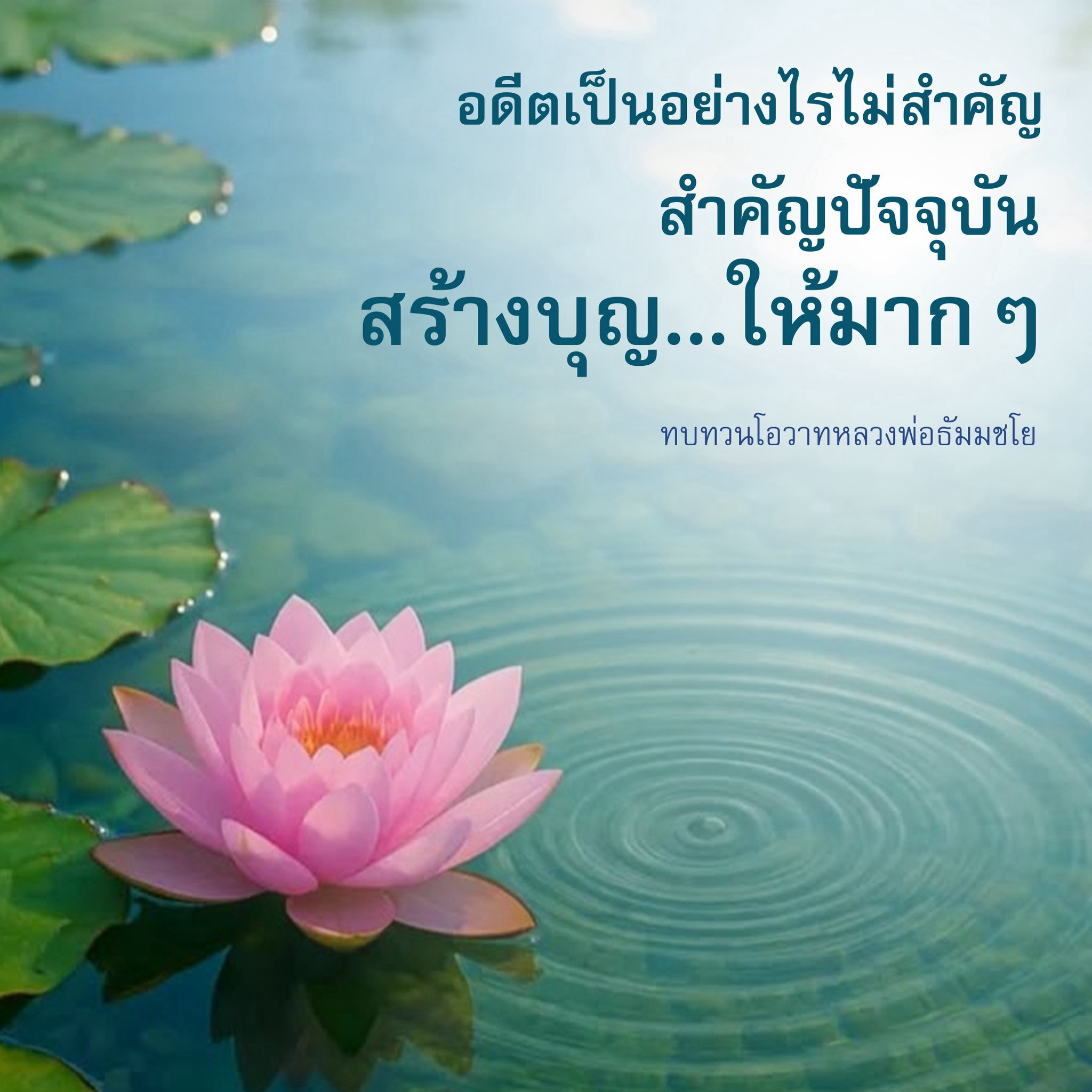 ภาพ No.18721:undefined