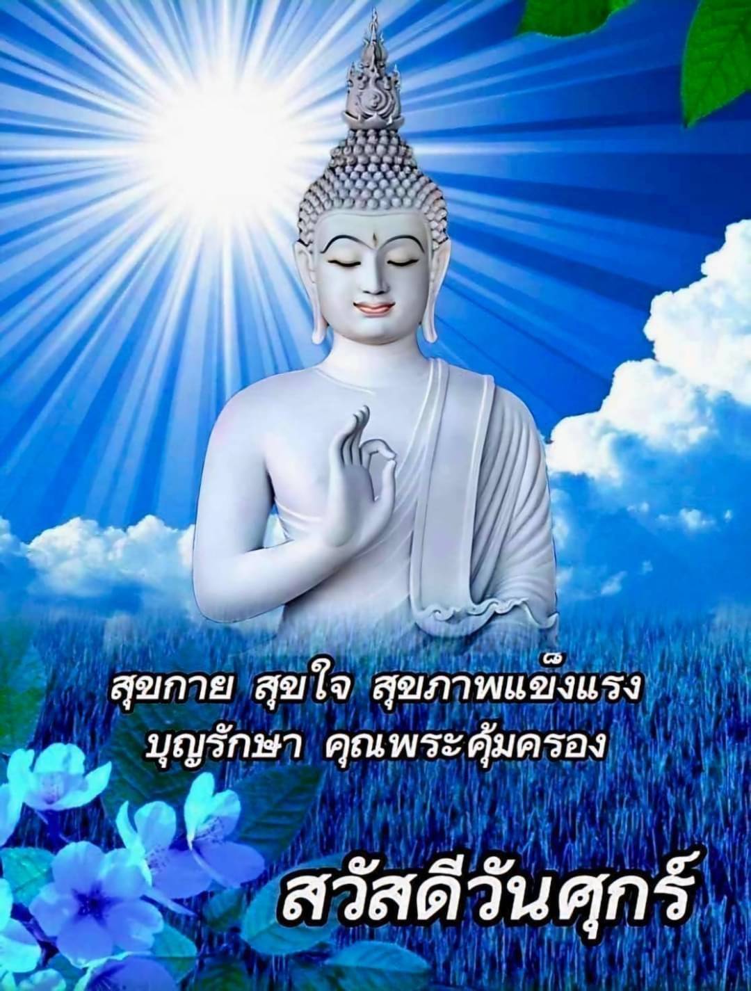 การ์ด No.13946:ภาพสวัสดียามเช้า