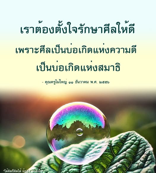 ค้นพบความสำคัญของการรักษาศีลในชีวิตประจำวัน ซึ่งเป็นบ่อเกิดแห่งความดีและสมาธิ พร้อมข้อคิดและกำลังใจจากคุณครูไม่ใหญ่ เพื่อเสริมสร้างจิตใจที่เข้มแข็งและมีคุณธรรม.