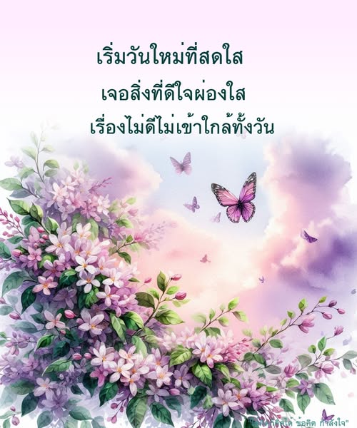 การ์ด No.11465:ภาพสวัสดียามเช้า