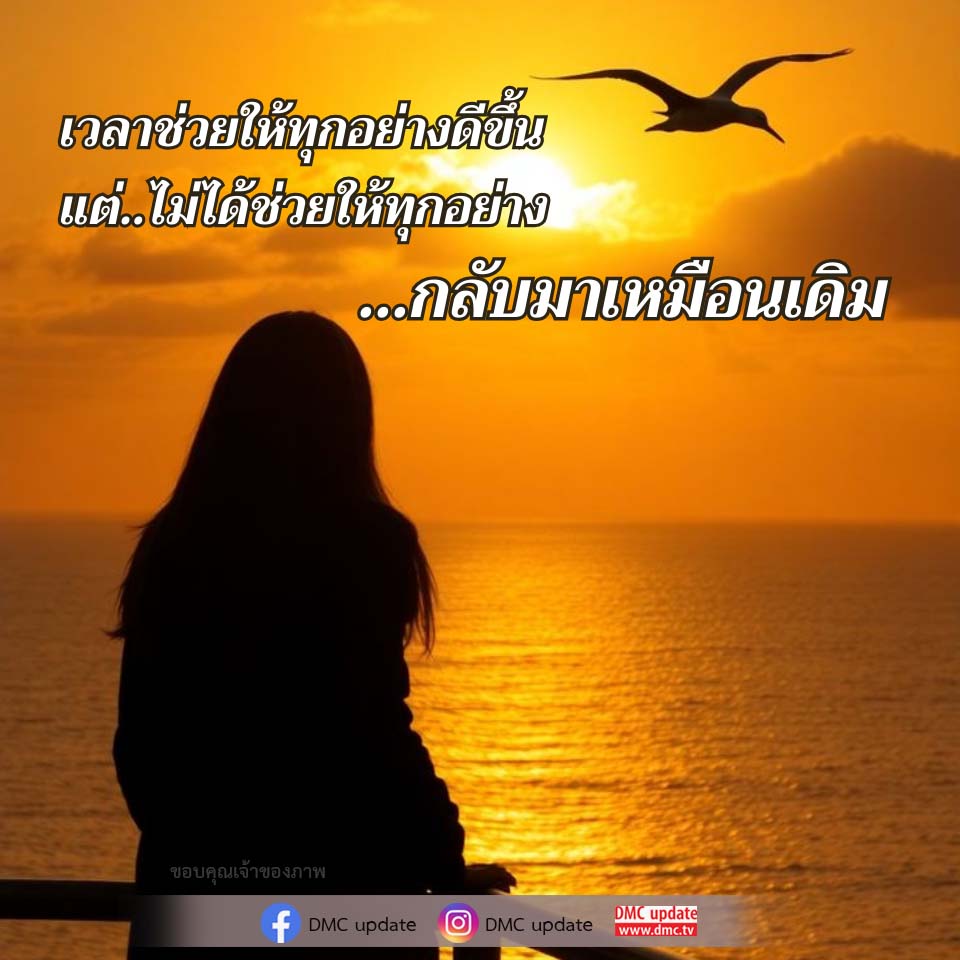 ภาพ No.16767:ทั่วไป