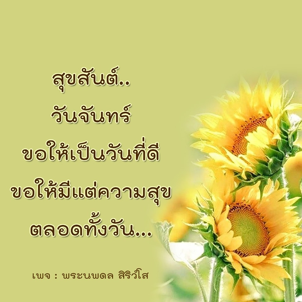 การ์ด No.6967:ภาพสวัสดียามเช้า