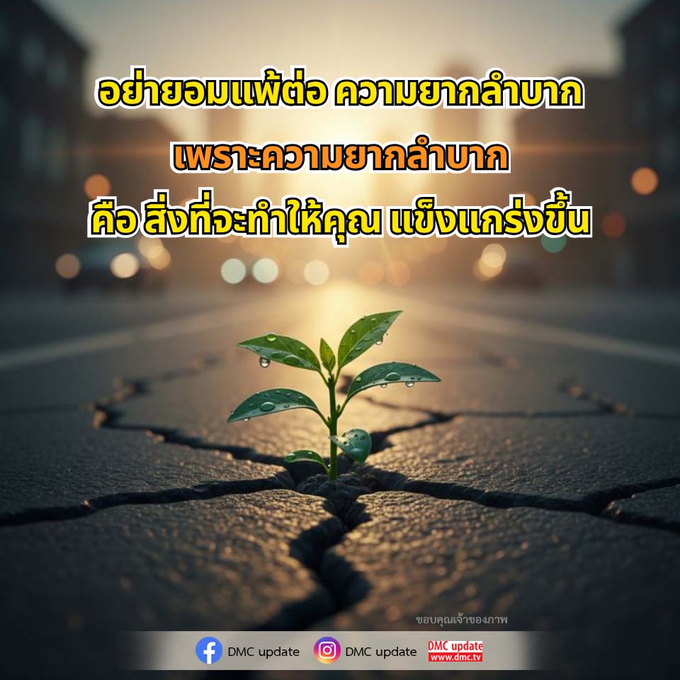 ภาพ No.16637:ทั่วไป