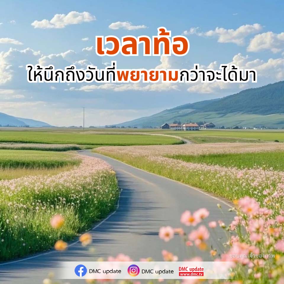 ภาพ No.16493:ทั่วไป