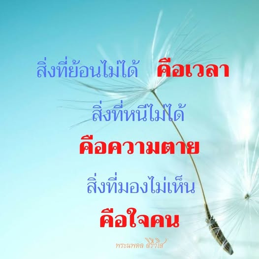 การ์ด No.11940:พระนพดล สิริวํโส