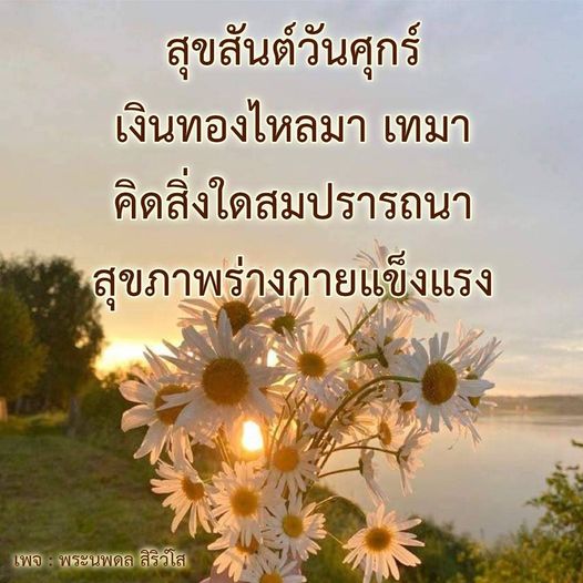 การ์ด No.10980:ภาพสวัสดียามเช้า