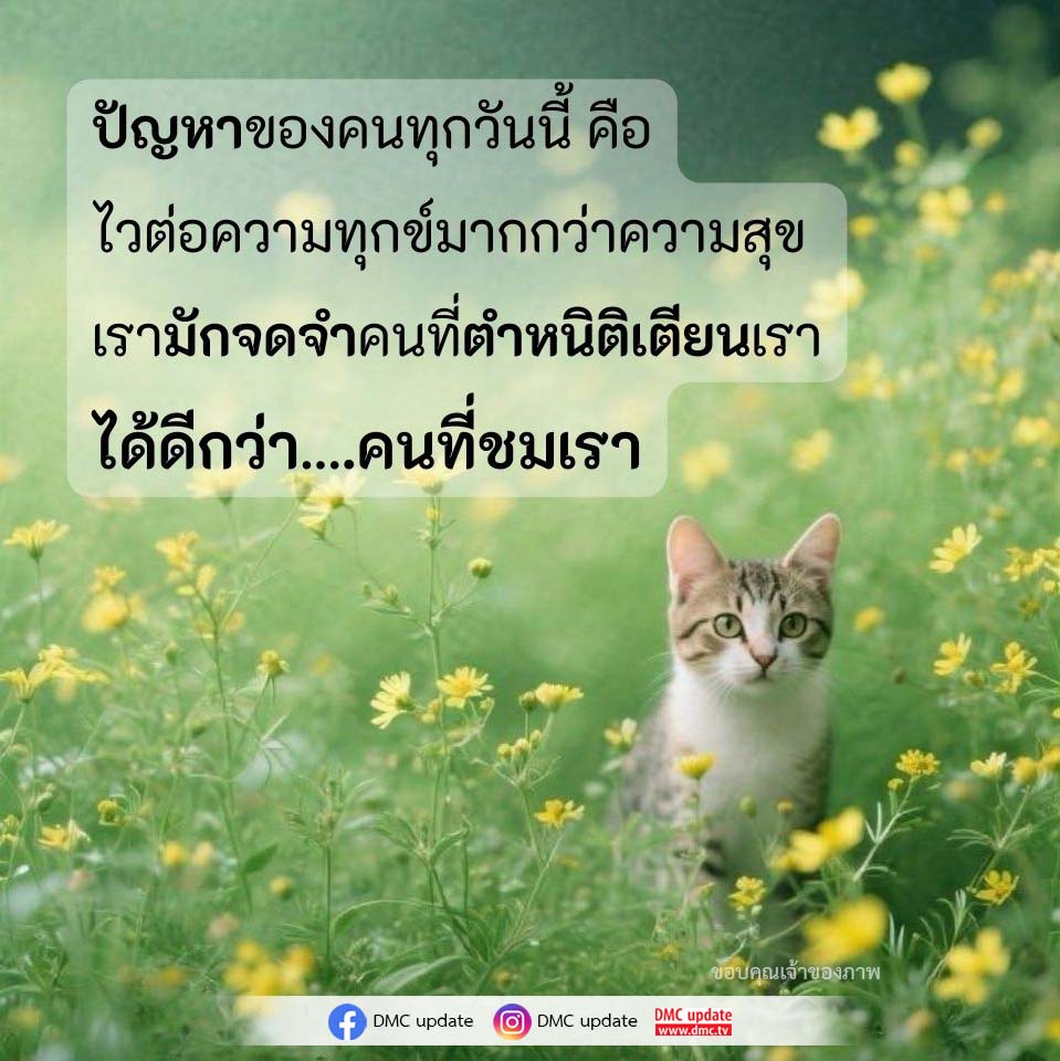 การ์ดคำสอนในพระพุทธศาสนา ทั่วไป