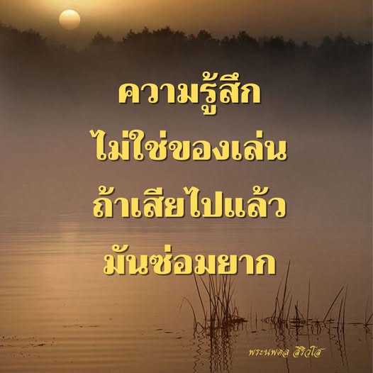 การ์ด No.11473:พระนพดล สิริวํโส