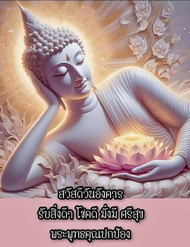 การ์ด No.13940:ภาพสวัสดียามเช้า