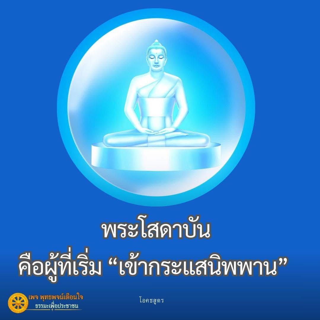 ภาพ No.16845:ทั่วไป