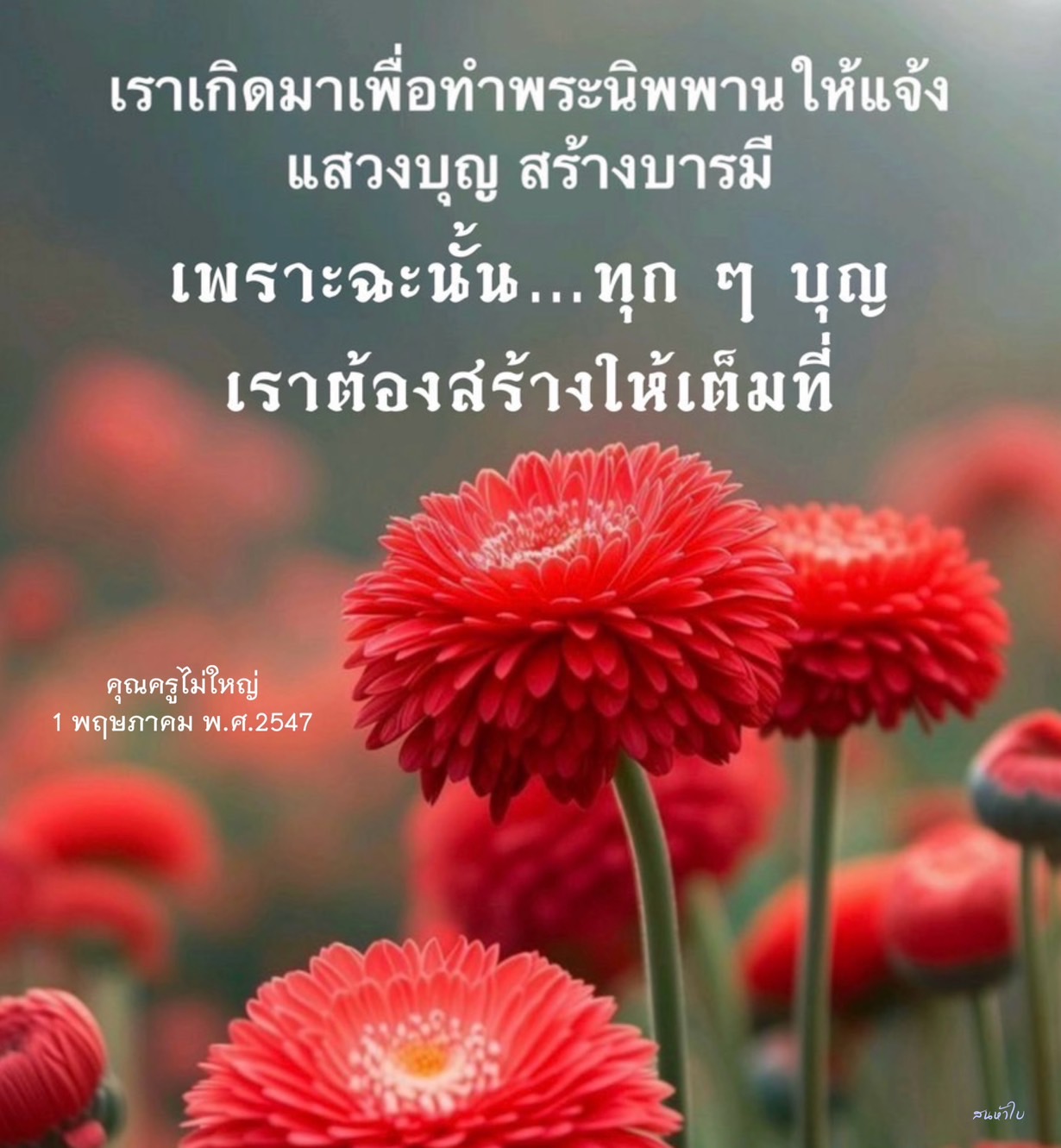 แสวงบุญและสร้างบารมี: การเดินทางสู่พระนิพพาน