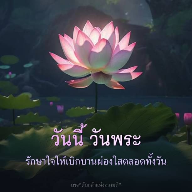 การ์ด No.9331:วันพระ
