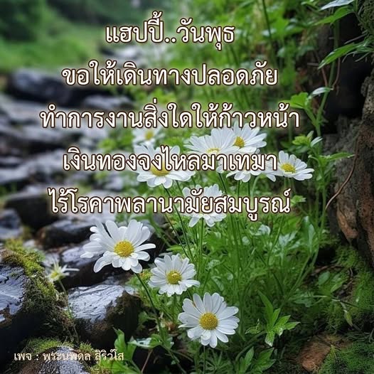ร่วมเฉลิมฉลองวันพุธด้วยความสุข ขอให้ทุกคนเดินทางปลอดภัย ทำการงานก้าวหน้า และเงินทองไหลมาเทมา พร้อมสุขภาพแข็งแรงไร้โรคาพลานามัย. ติดตามเพิ่มเติมได้ที่เพจ พระนพดล สิริวโส.