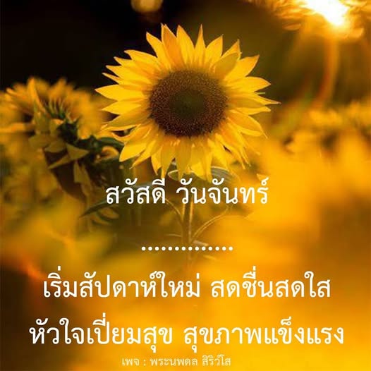 การ์ด No.13323:ภาพสวัสดียามเช้า