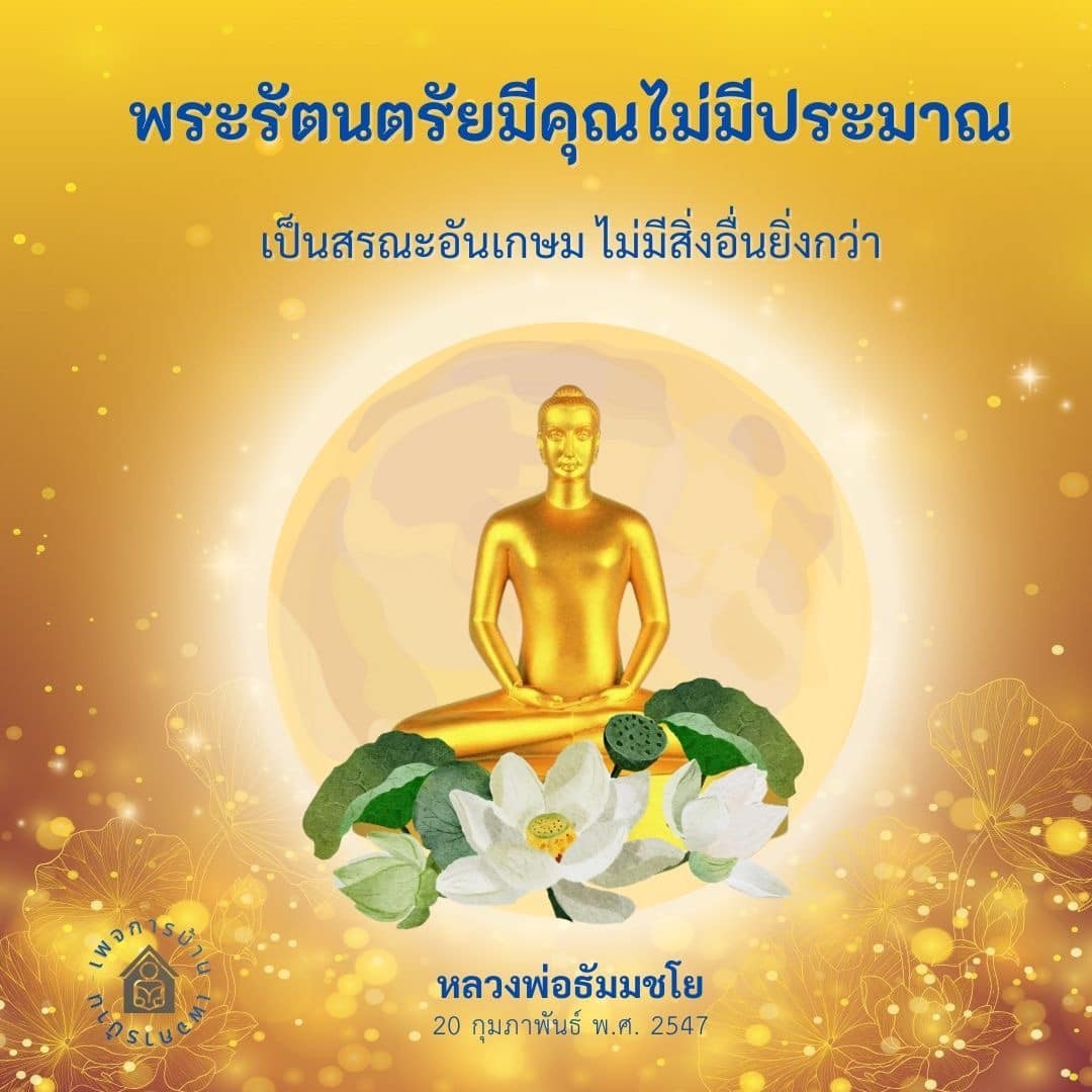 ภาพ No.16892:ทั่วไป