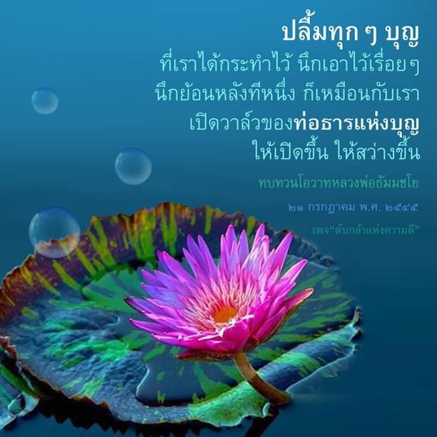 ปลื้มทุก ๆ บุญ: การทำความดีและการทบทวน