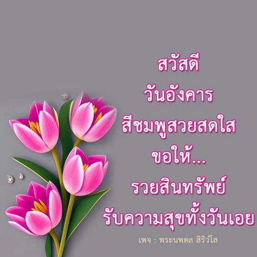 การ์ด No.9751:ภาพสวัสดียามเช้า
