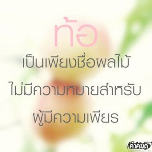 การ์ด No.9049:กำลังใจให้คุณ