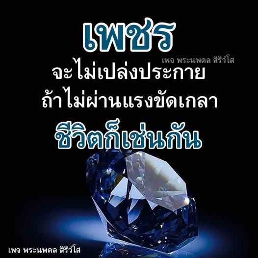การ์ด No.14341:พระนพดล สิริวํโส
