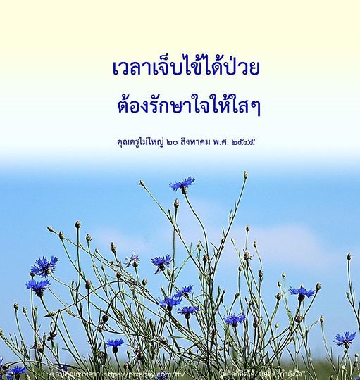 เมื่อเผชิญกับความเจ็บไข้ได้ป่วย การรักษาใจให้ใสสะอาดเป็นสิ่งสำคัญ ค้นพบข้อคิดและแนวทางในการดูแลจิตใจจากบทความของคุณครูไม่ใหญ่ พร้อมแรงบันดาลใจในการมีชีวิตที่ดีขึ้น