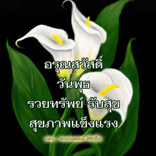 การ์ด No.11116:ภาพสวัสดียามเช้า