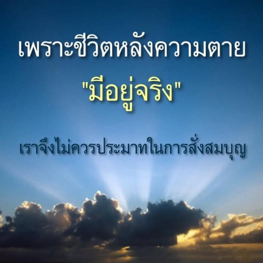 การ์ด No.11913:ทั่วไป