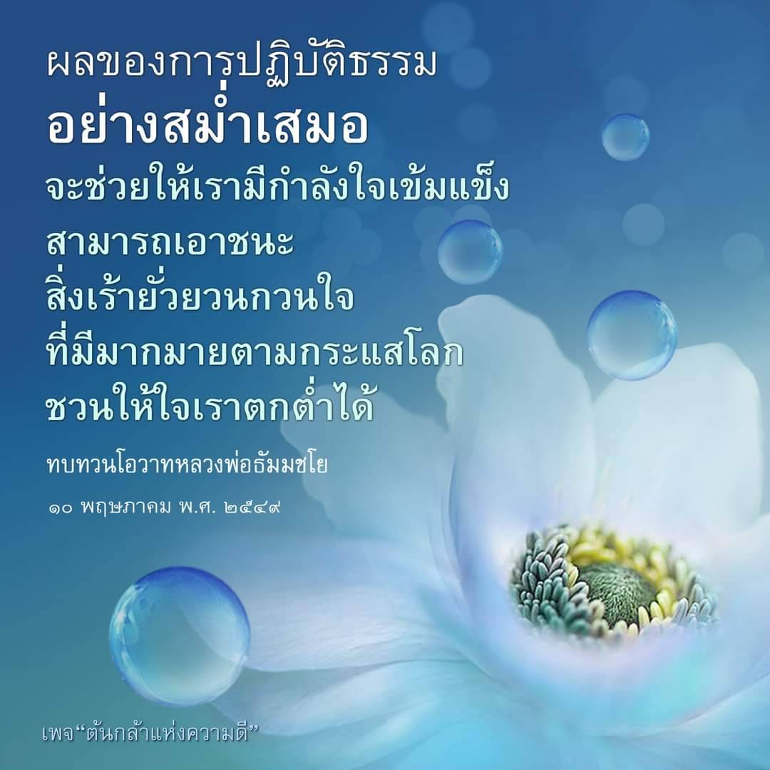การปฏิบัติธรรมอย่างสม่ำเสมอช่วยเสริมกำลังใจให้เรามีพลังในการเอาชนะความเร้าราวและความยุ่งเหยิงใจที่มีมากมายตามกระแสโลก การทบทวนโอวาทหลวงพ่อธัมมชโยในวันที่ ๑๐ พฤษภาคม พ.ศ. ๒๕๔๙ บนเพจ 'ต้นกล้าแห่งความดี' ชวนให้ใจเราตกต่ำเพื่อพัฒนาตนเอง