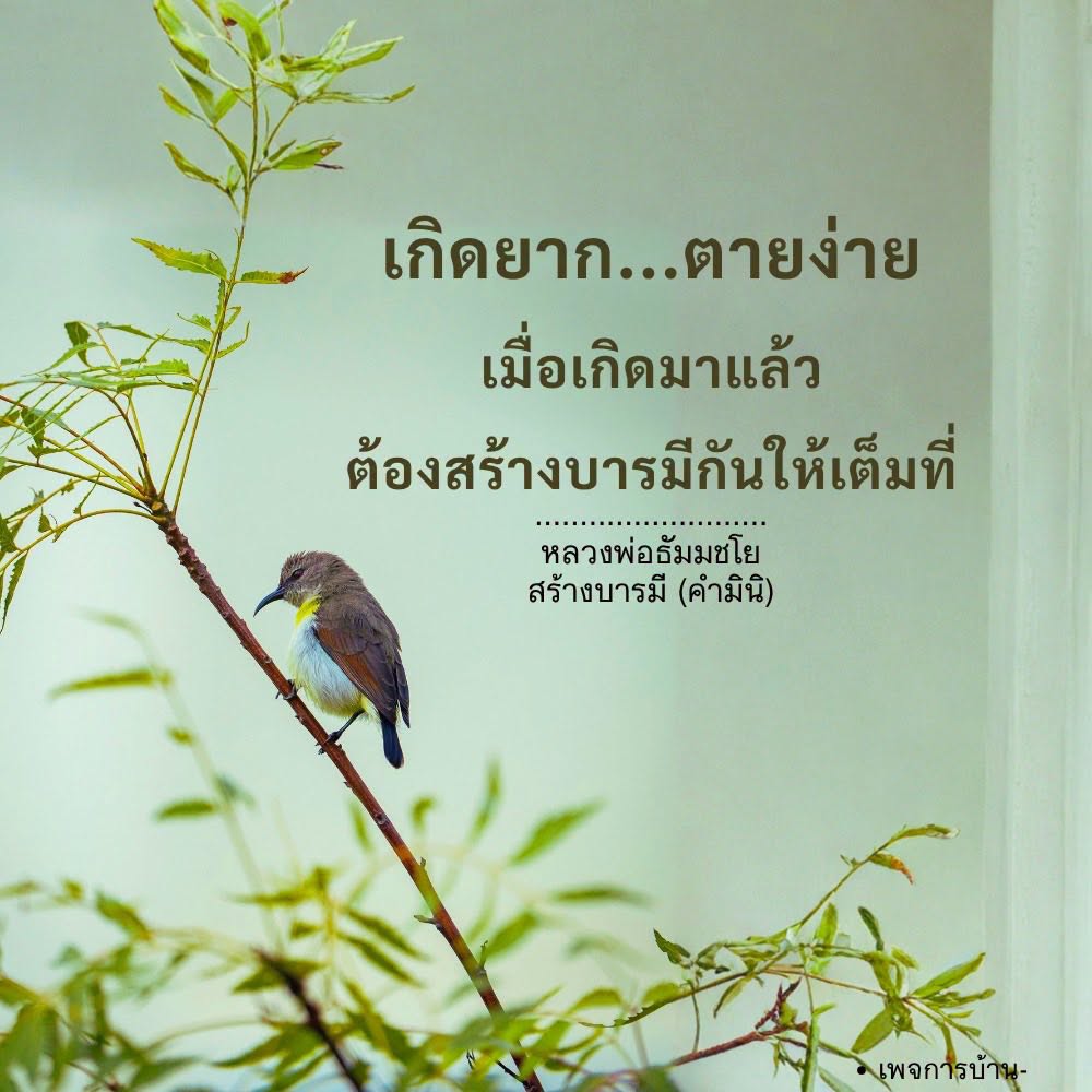 สร้างบารมีให้เต็มที่กับหลวงพ่อธัมมชโย