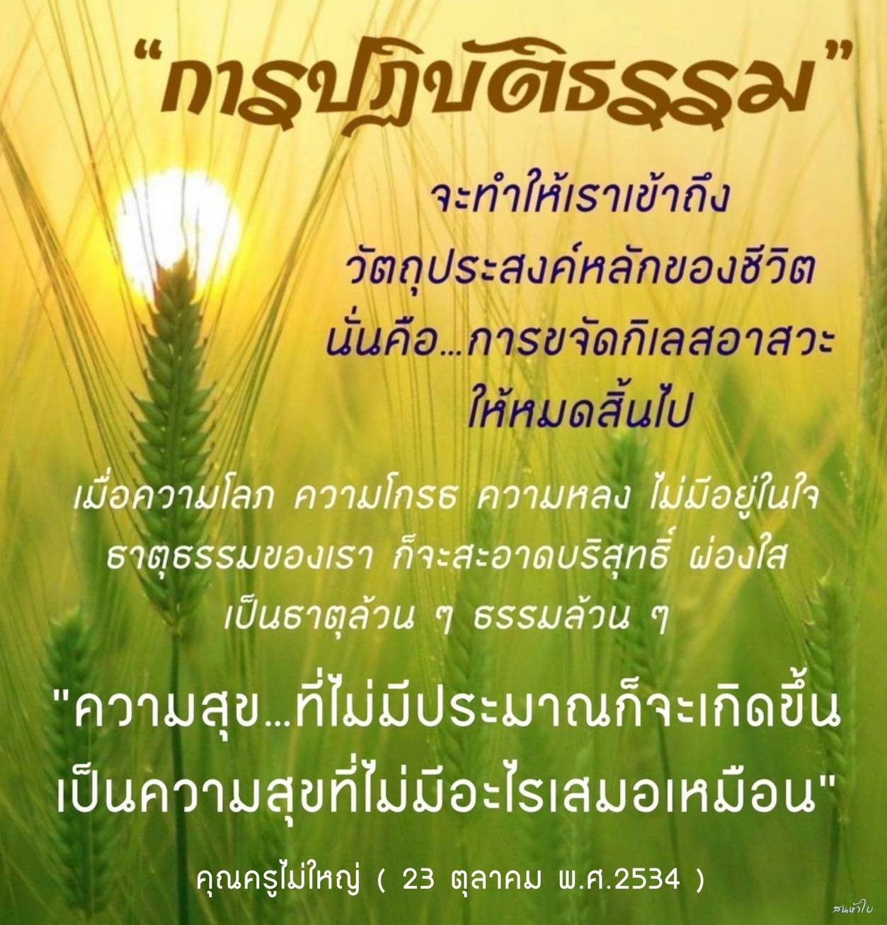 การปฏิบัติธรรม: เส้นทางสู่ความสุขที่แท้จริง