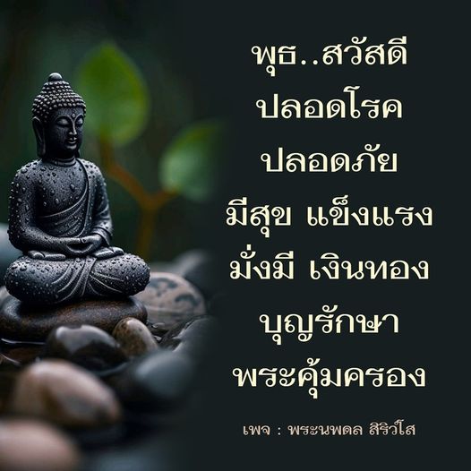 การ์ด No.10569:ภาพสวัสดียามเช้า