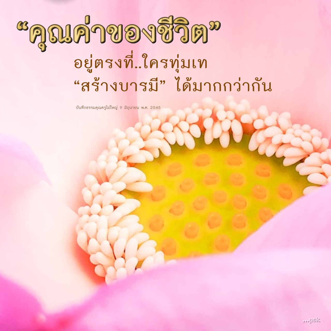 สำรวจคุณค่าของชีวิตผ่านการทุ่มเทและการสร้างบารมีในบันทึกธรรมของคุณครูไม่ใหญ่ ในวันที่ 9 มิถุนายน พ.ศ. 2545 เรียนรู้วิธีการที่ทำให้ชีวิตมีความหมายมากขึ้น