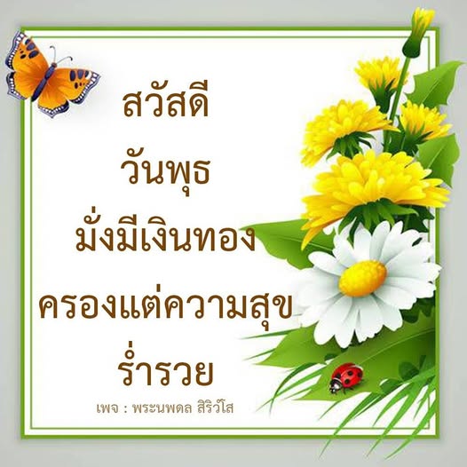 การ์ด No.12481:ภาพสวัสดียามเช้า