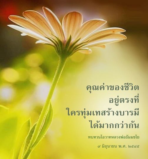 บทความนี้สำรวจคุณค่าของชีวิตผ่านการทุ่มเทสร้างบารมี ตามโอวาทของหลวงพ่อธัมมชโยในวันที่ 9 มิถุนายน พ.ศ. 2555 เพื่อให้ผู้อ่านได้ทบทวนและนำไปใช้ในชีวิตประจำวัน.