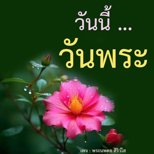 การ์ด No.9571:วันพระ